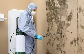 Why You Should Choose Our Mold Remediation Services in Dortches, NC